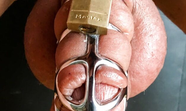 Femdom Slave’s Chastity Collection