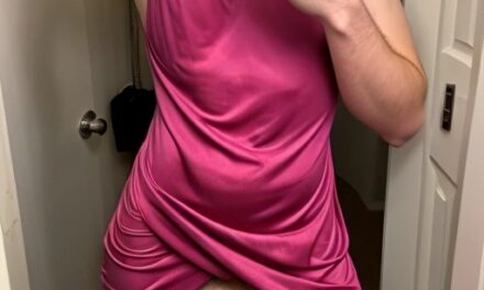 Punished in Pink: My Journey into Sissification