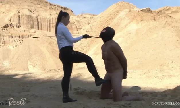 The Power of Contrast: Why CFNM is a Feminine Fantasy and a Submissive’s Dream