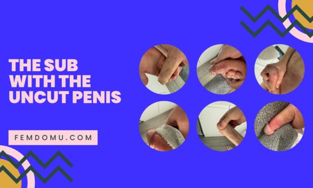 The Submissive with an Uncut Penis