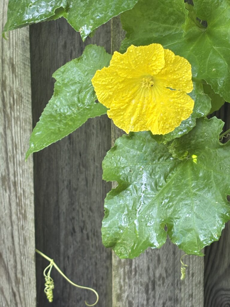 Chained to The Typewriter: New Goals