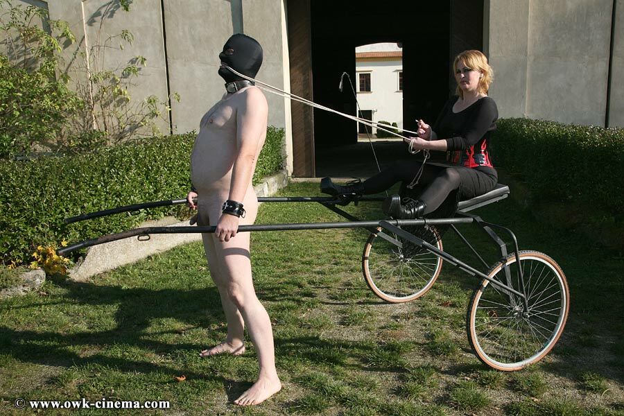 Outdoor CFNM Femdom