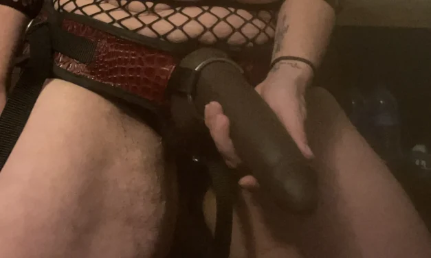 FLR Couple and Strapon Fun