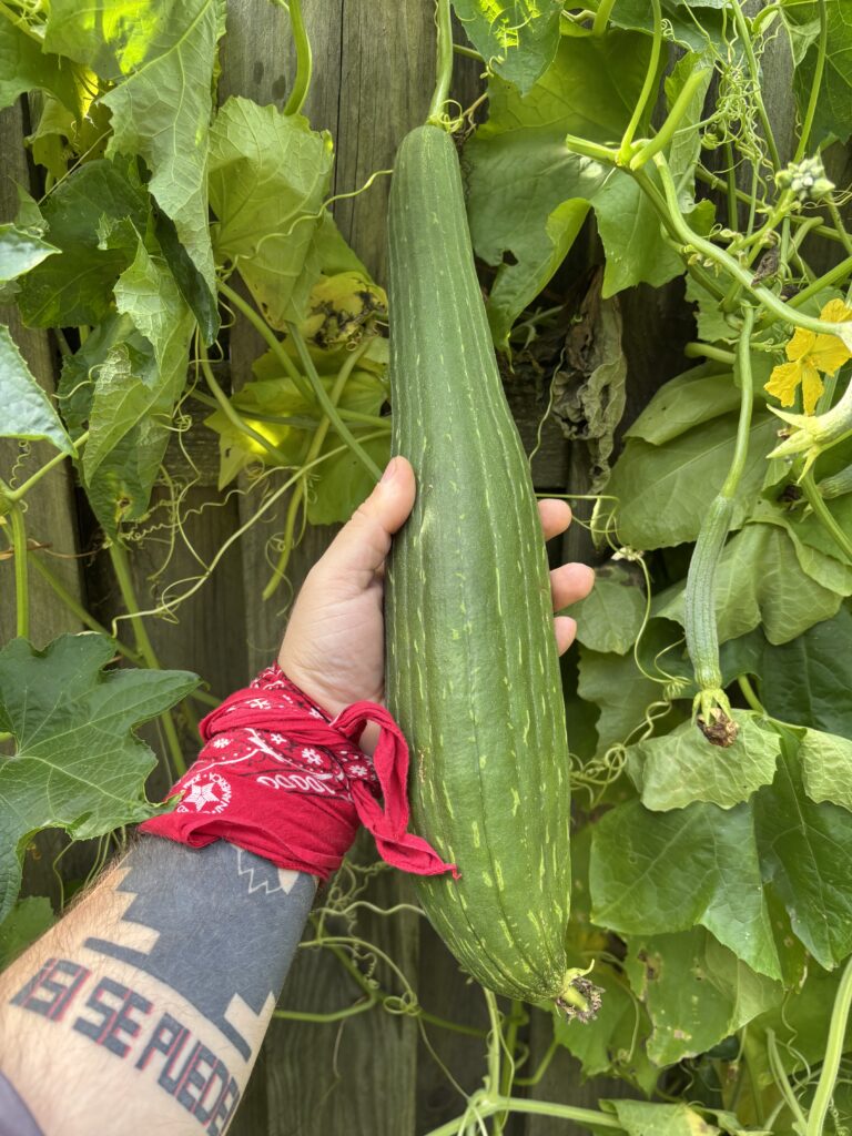 Laboring for a Brighter Future: The Educational Matriarchy