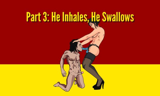 Buds, Bonds and Bad Decisions (Part 3)