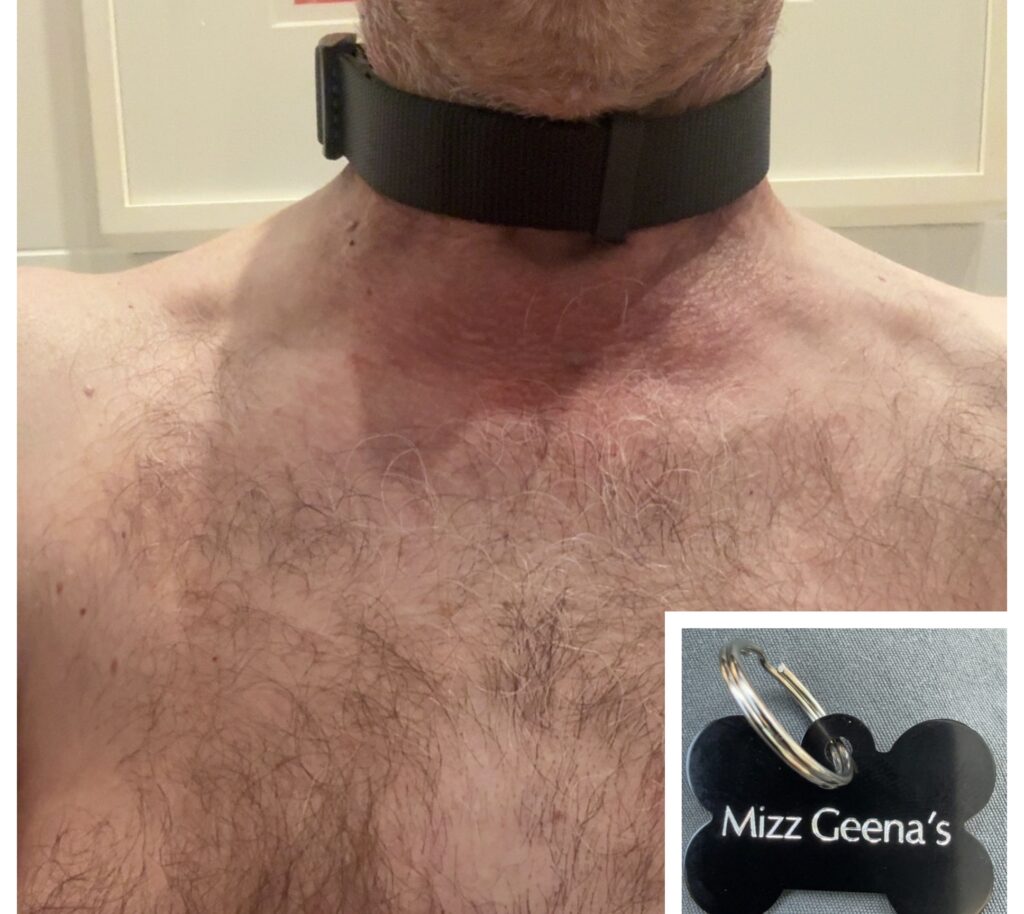Show and Tell : My collar and tags